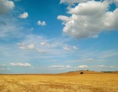 http://2.bp.blogspot.com/_zgHVAJ0-JZI/RsX6AaelJOI/AAAAAAAAAHQ/DUWVQeX6yBY/s400/Plan%C3%ADcie+Alentejana,+%C3%89vora.jpg