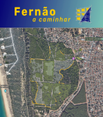 Fernão a Caminhar - 2ª edição